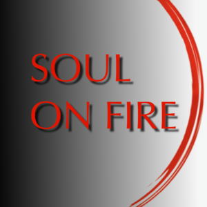Soul On Fire Book Cover 01